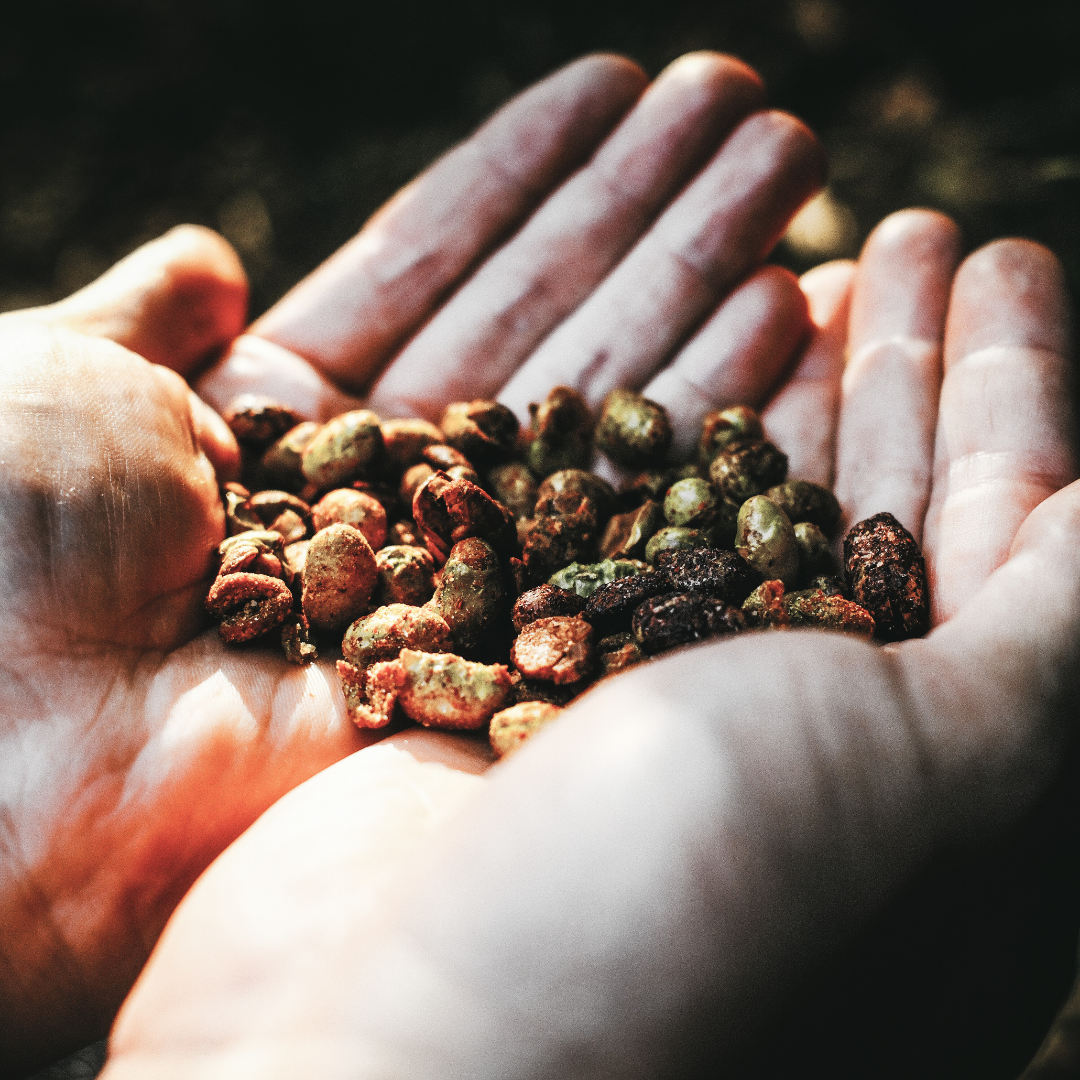 Himbeer Matcha - 4 x 100 g